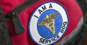 Service Animal Patch