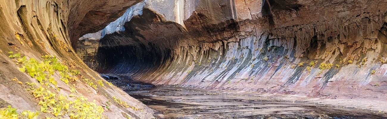 A narrow canyon carved into an oval shape by water.