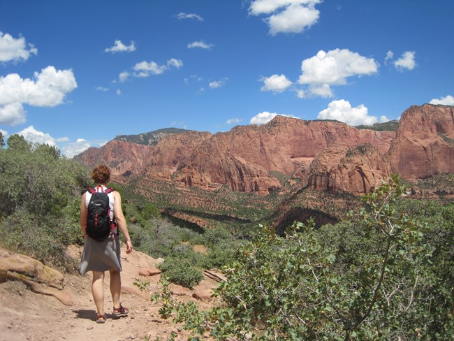 A hiker with a black backpack walks down a dirt trail surrounded by green bushes. Sandstone cliffs and a blue sky sit in the background.