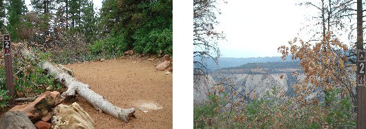 West Rim campsite #2