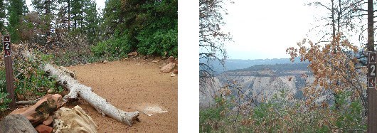 A firm dirt campsite with nearby pines and spruce trees. The view from the campsite shows large canyons atop the nearby plateau.