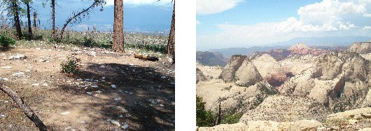 A packed dirt area with a handful of surrounding pine trees. Nearby viewpoints create views into the massive canyons to both the east and west.