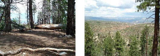 A packed dirt area with surrounding pine trees. Nearby viewpoints provide views of the surrounding canyons.