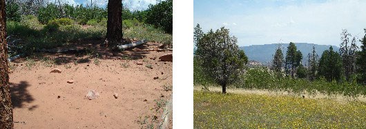 A packed dirt and sand area surrounded by grassy fields and scattered pine trees. Views look over the surrounding plateau.