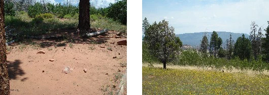 West Rim campsite #7