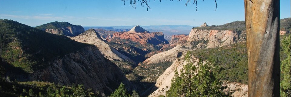 Wide desert canyon surrounded by trees