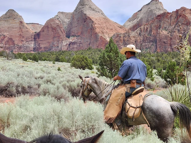 People on horseback riding through the Virgin River with sandstone cliffs in the background
