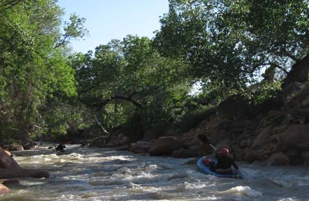 Kayaking on the Virgin River Kayaking on the Virgin River