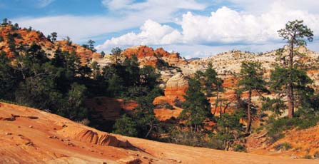 wilderness wilderness