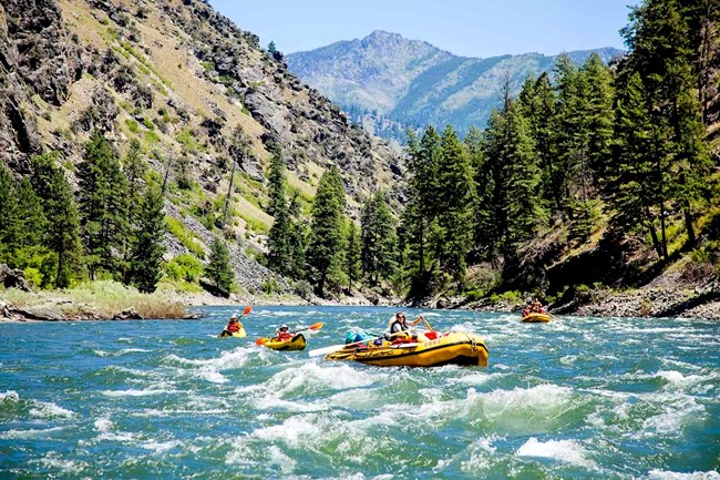 Several yellow rafts and kayaks navigate through the whitewater rapids of the Salmon River. Rugged mountains peaks surround the area, with rocks and green pine trees scattered along the sides.