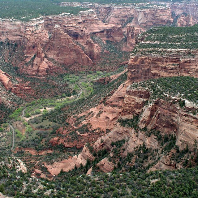 A red-walled canyon carved into an otherwise flat, tree-covered landscape