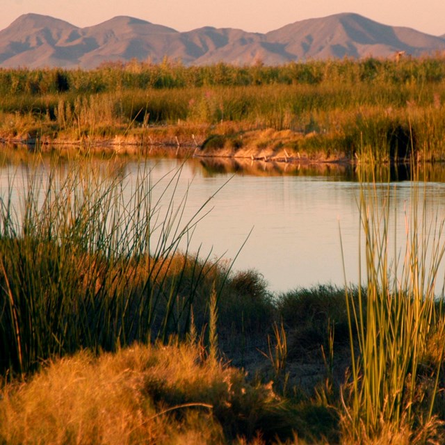 wetland area at sunset with mountains in the distance