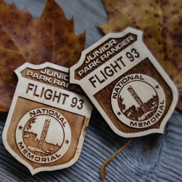 A junior ranger badge next to autumn leaves 