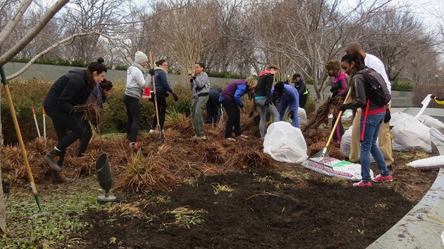 Volunteers spread mulch with rakes at the Martin Luther King, Jr. Memorial