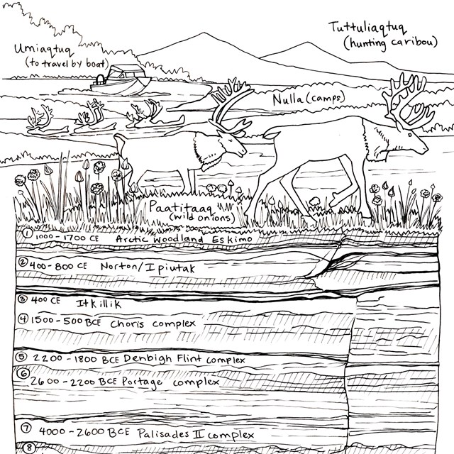 A line drawing with a cross section of earth layers below and caribou walking above a ground line.