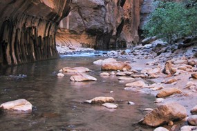 The Virgin River flowing through a narrow canyon.